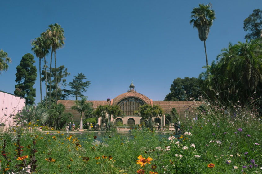 green house with palm trees and flower garden