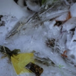 funeral flowers on the ground covered of snow
