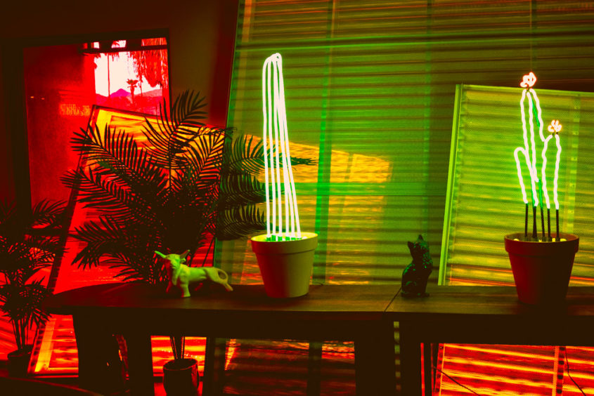 neon cactus and plant lamp with pink and green fluo lights inside a hotel